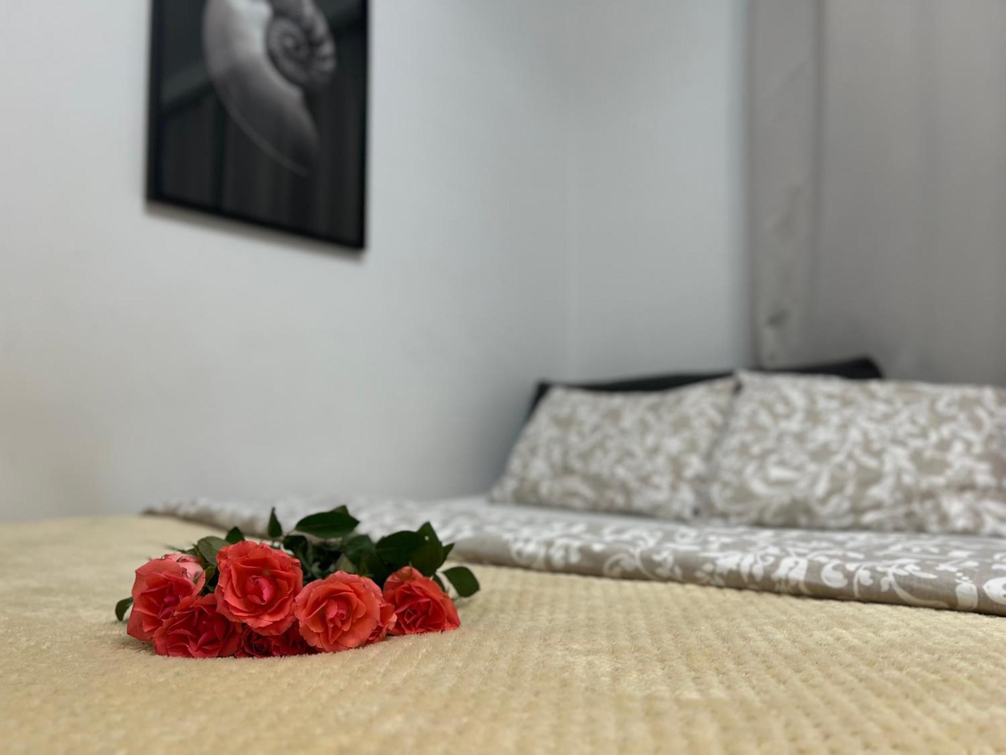 Parkcity Bogucice Karoliny Apartament