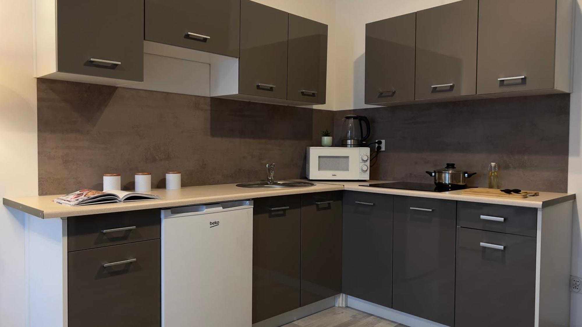 Parkcity Bogucice Karoliny Apartament
